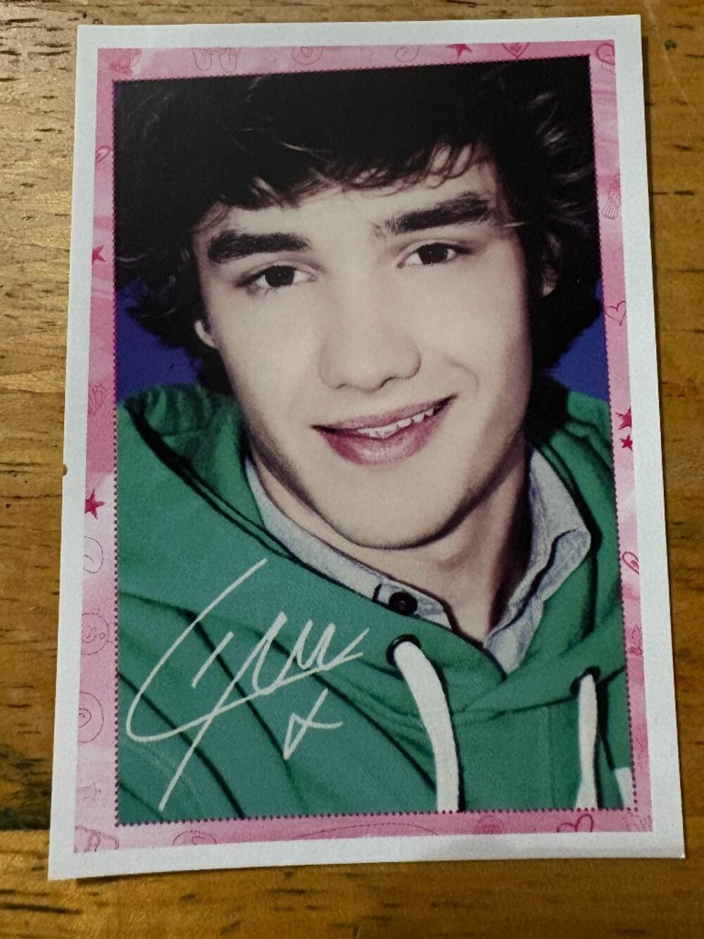 Official One Direction Sticker Book Sticker Liam #170 by Panini
